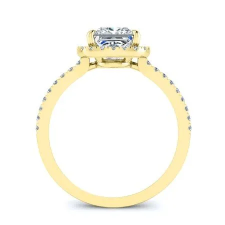 Bergenia - Princess Moissanite Engagement Ring