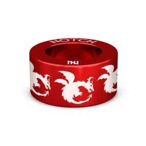 Dragons NOTCH Charm