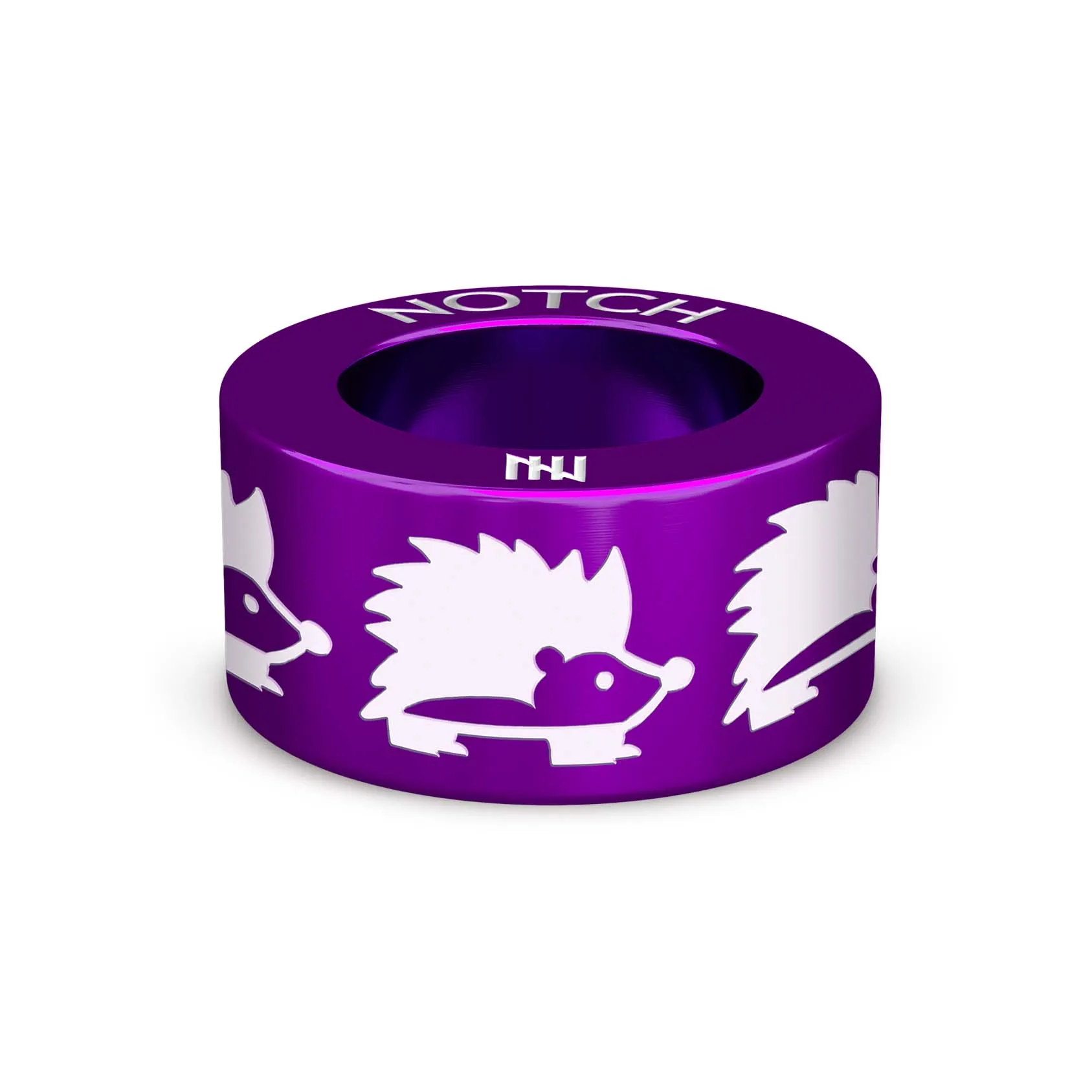 Hedgehog NOTCH Charm
